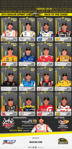 nascar2014-08-03_21_54_40